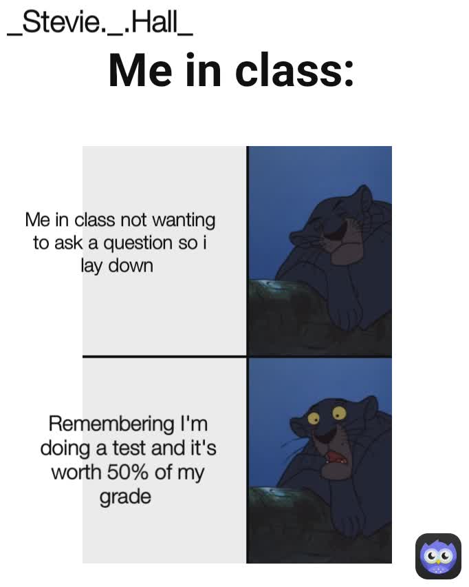 Me in class: _Stevie._.Hall_ Remembering I'm doing a test and it's worth 50% of my grade  Me in class not wanting to ask a question so i lay down 