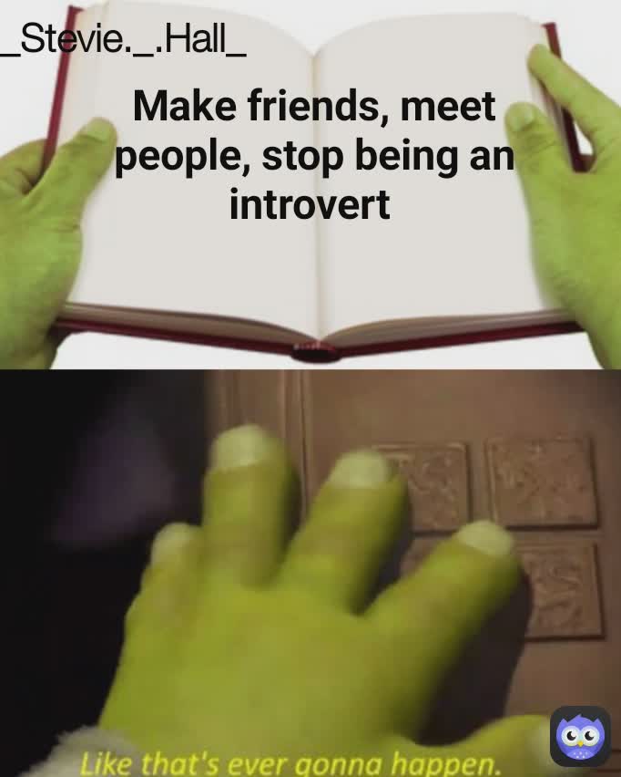 Make friends, meet people, stop being an introvert  _Stevie._.Hall_