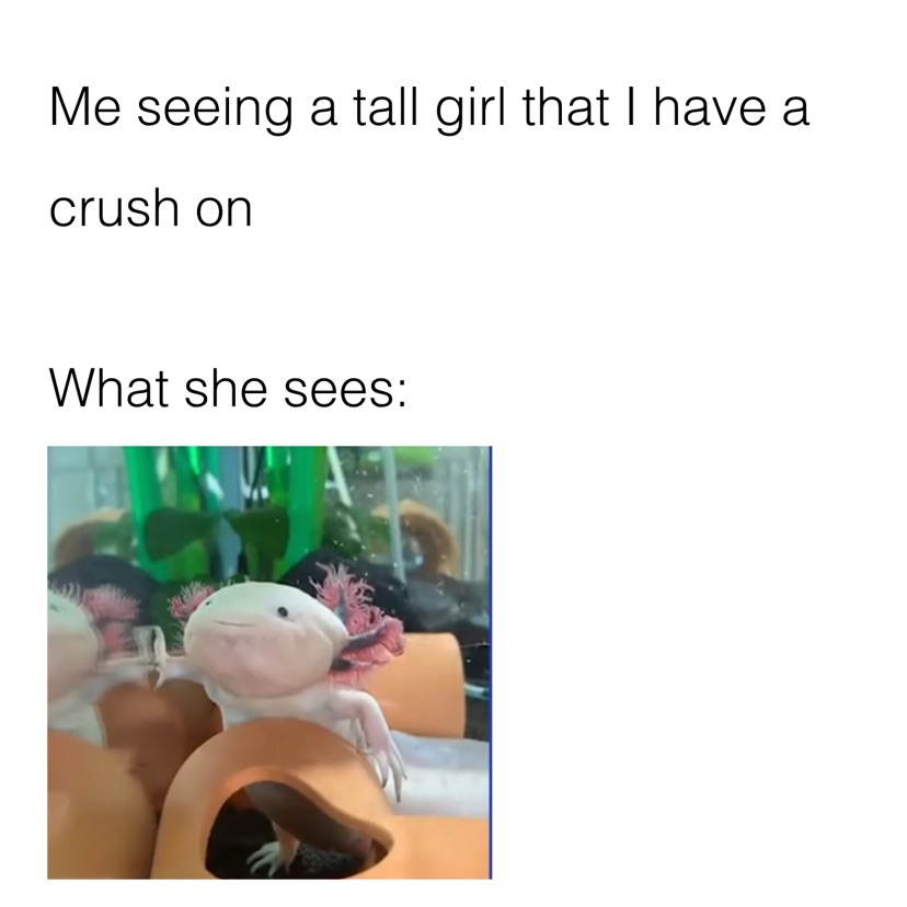 Meme by drayton-redmond