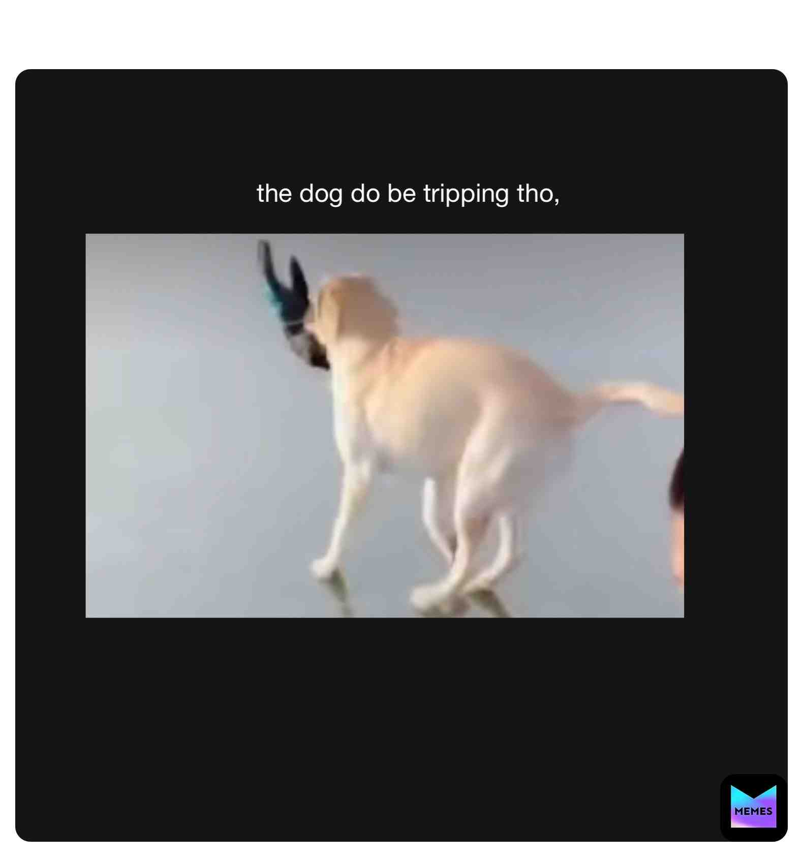 Meme shared by @fluffypuppy08
