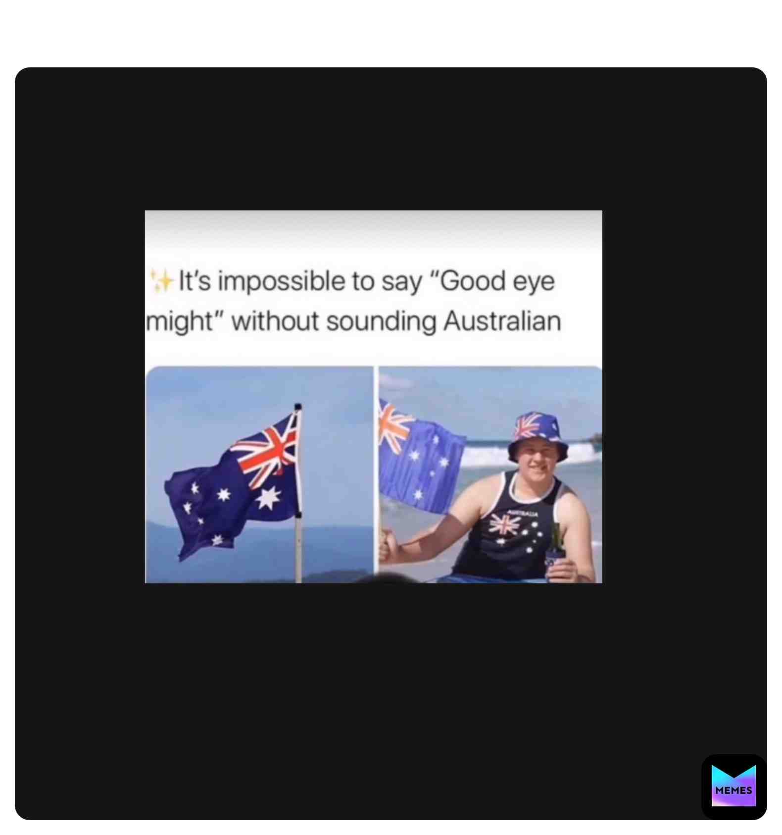 Meme shared by @fluffypuppy08