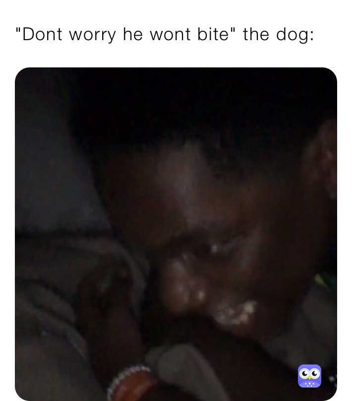 "Dont worry he wont bite" the dog: