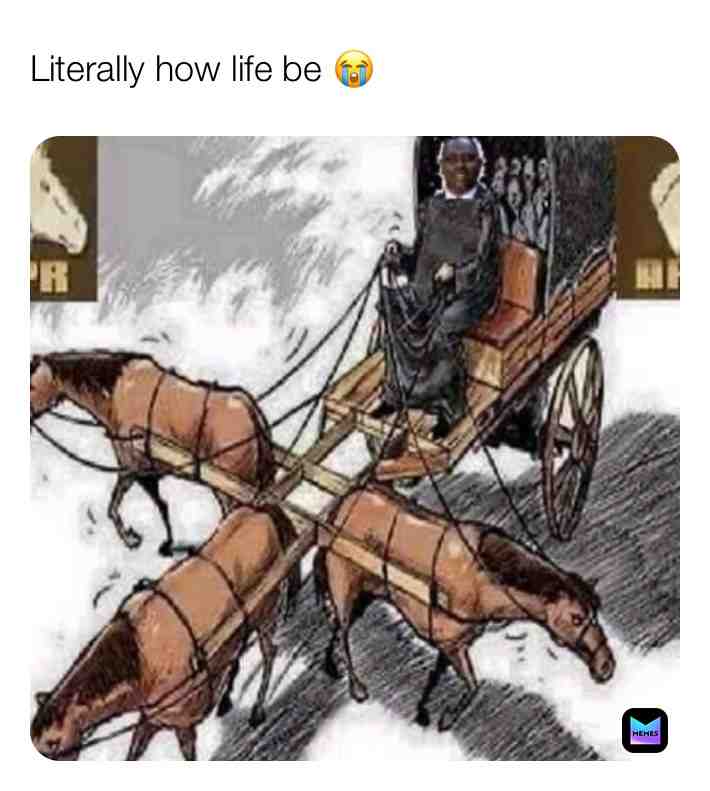 #muslimmemes