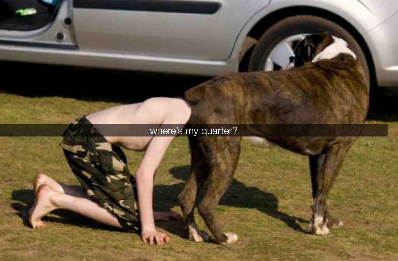 #dog  #quarter seriously where is my quarter