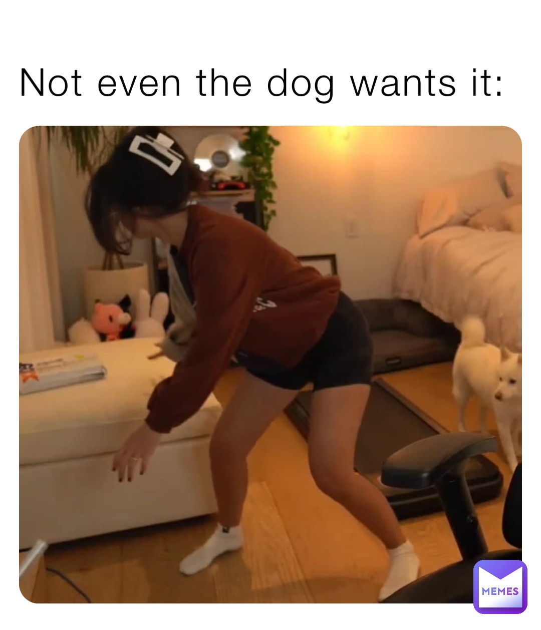 Not even the dog wants it: