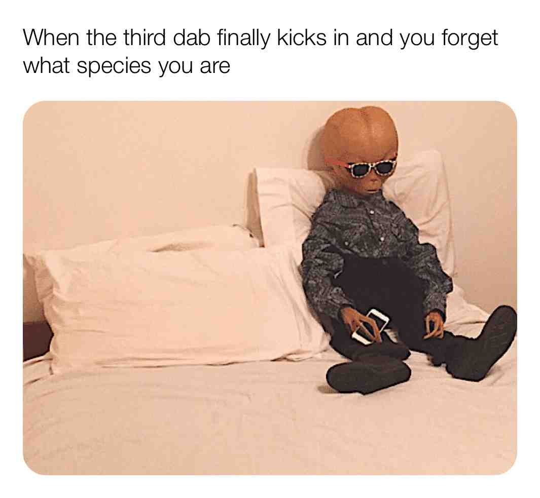 #stonermemes