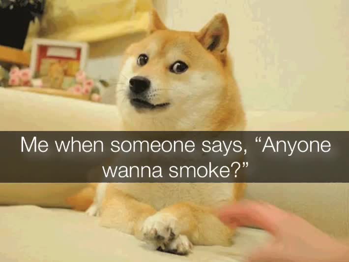 #stoner