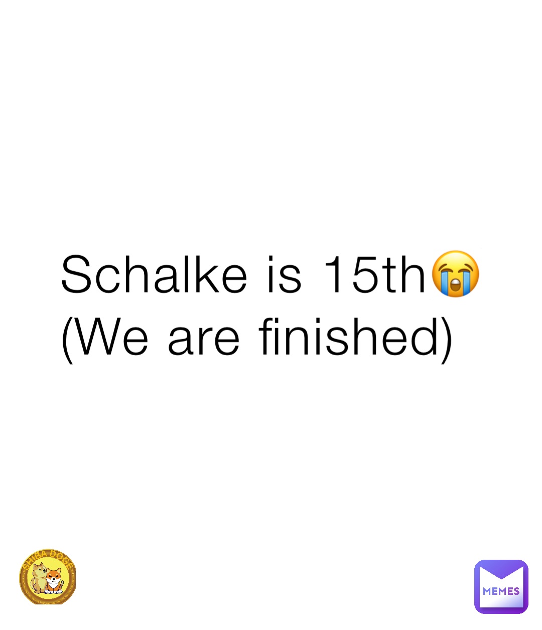 Schalke is 15th😭
(We are finished)