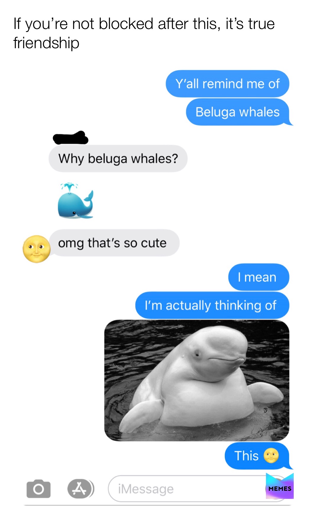 Meme by daily_comehdy