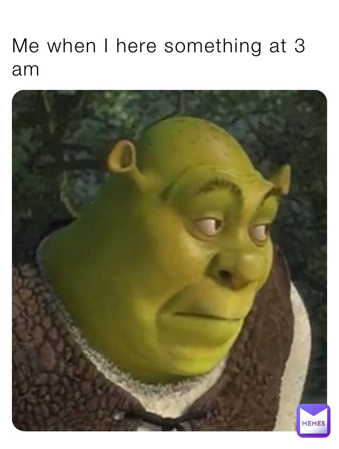 Me when I here something at 3 am