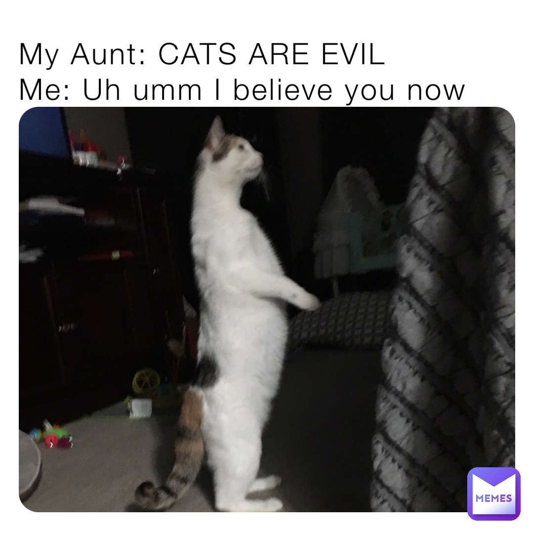 My Aunt: CATS ARE EVIL
Me: Uh umm I believe you now