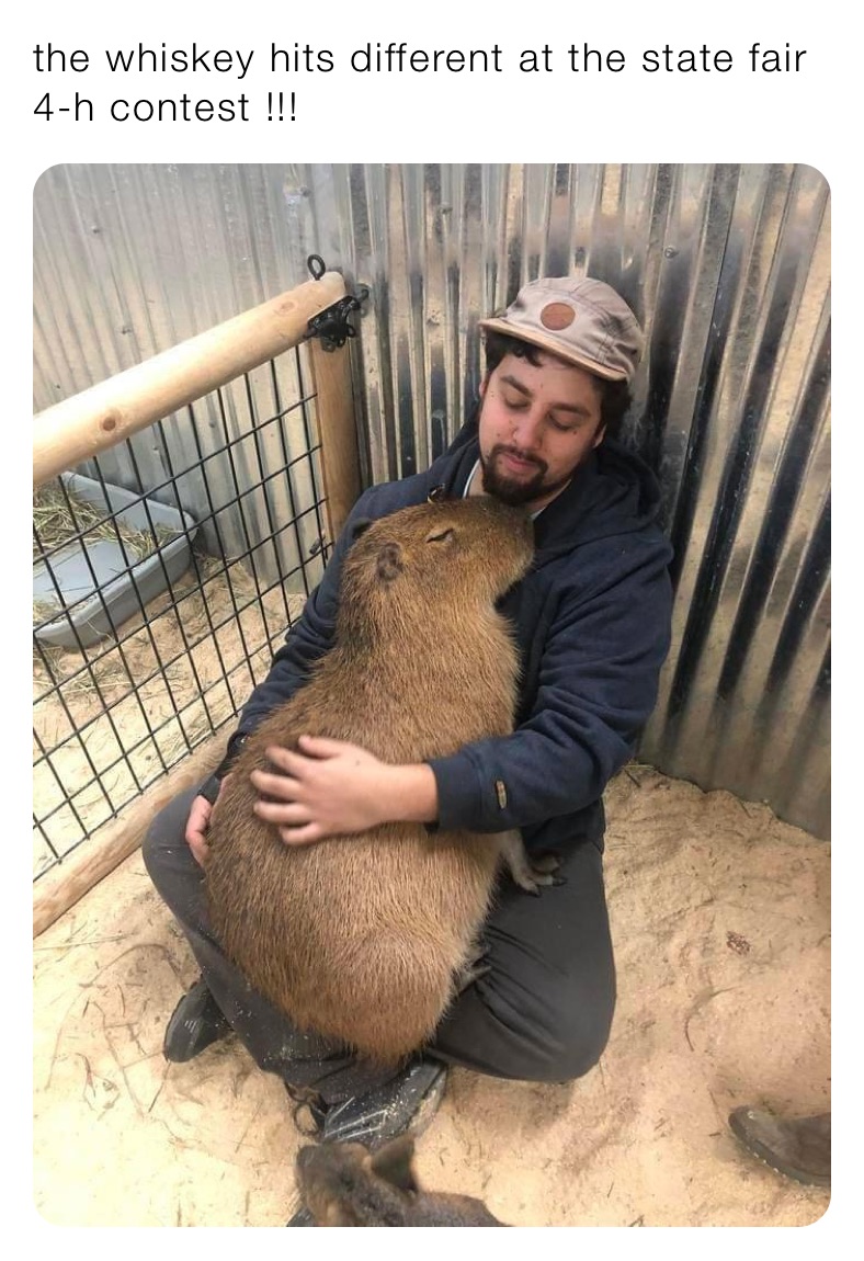 the whiskey hits different at the state fair 4-h contest !!!