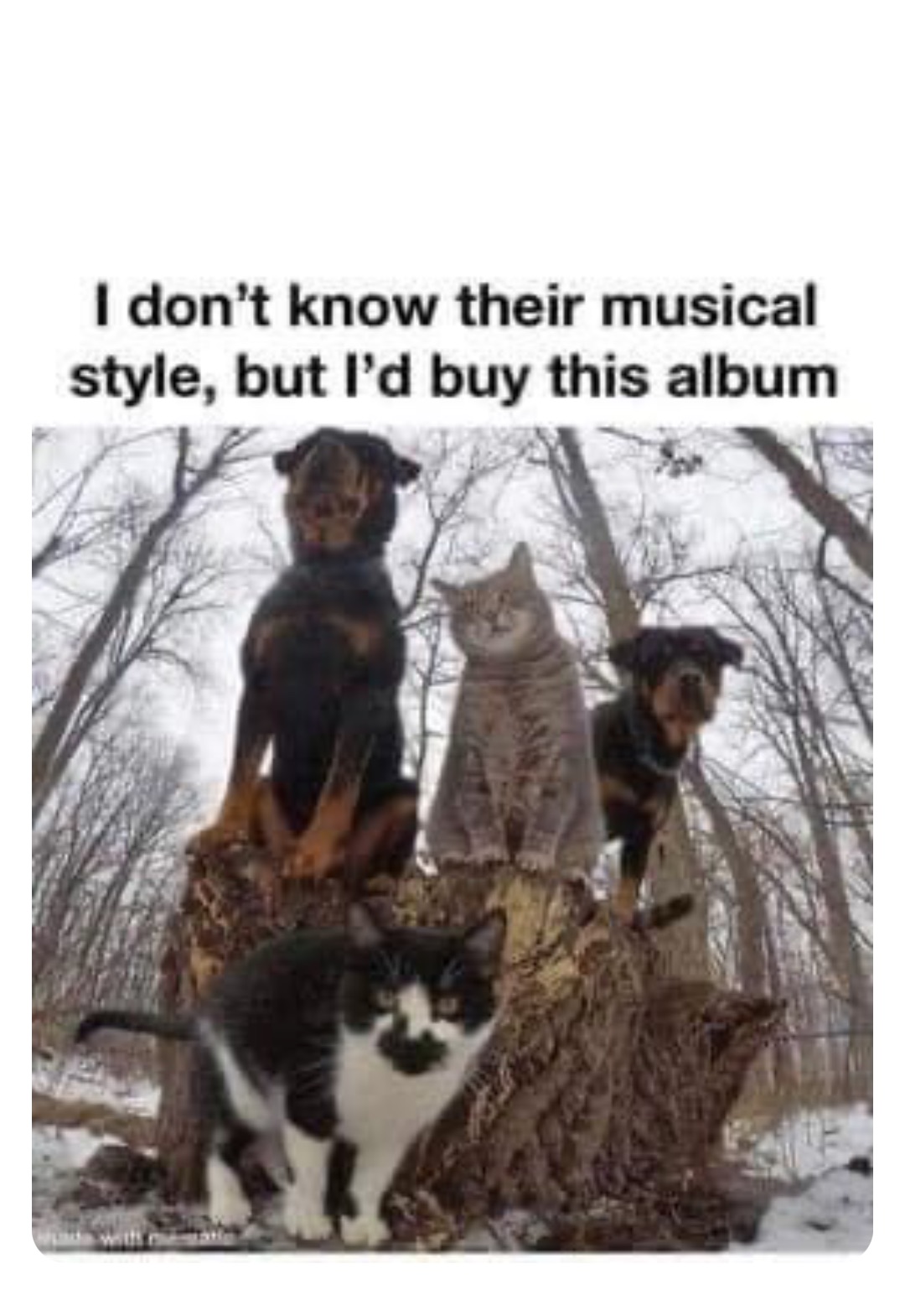 Double tap to edit