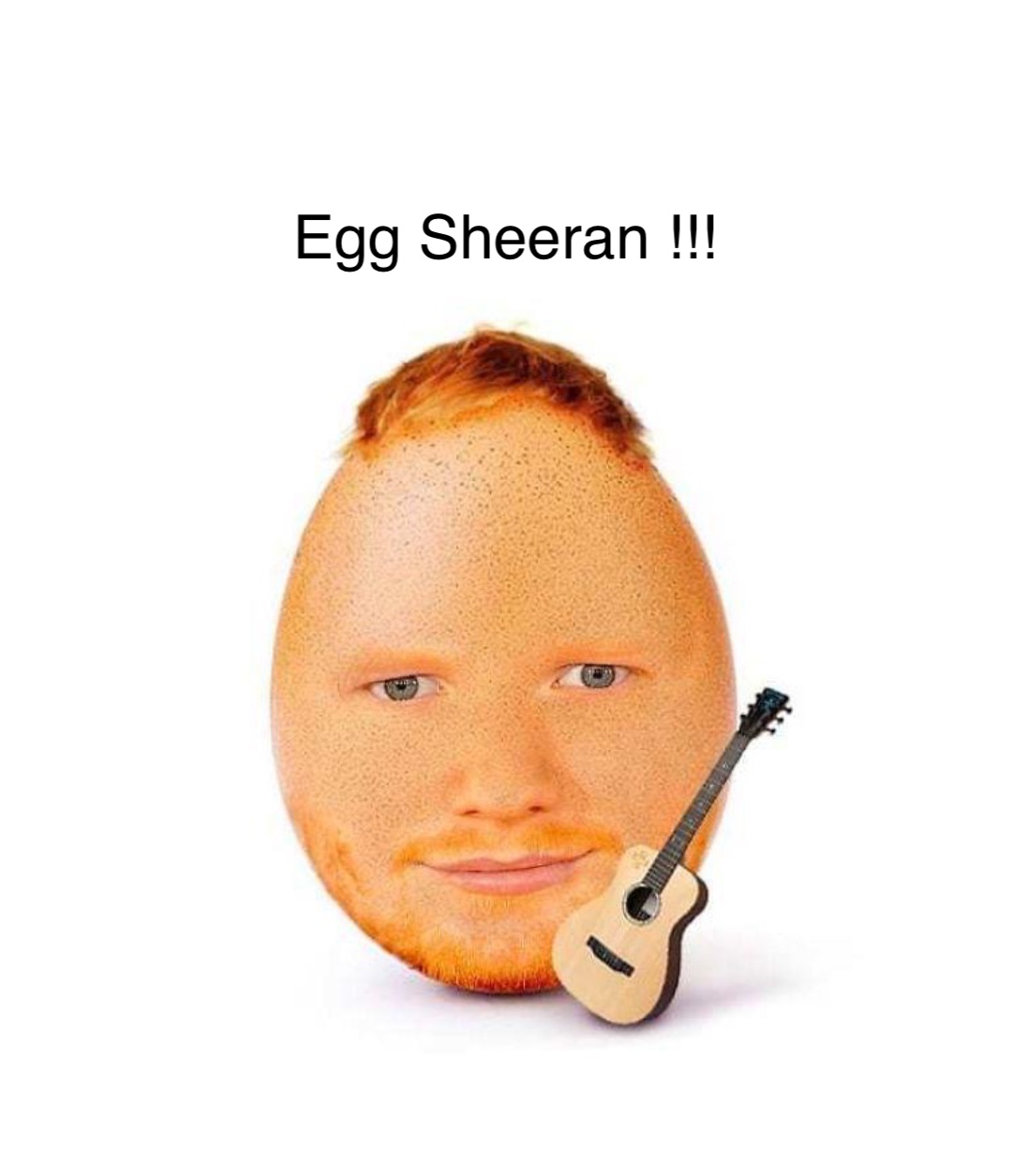 Double tap to edit Egg Sheeran !!!
