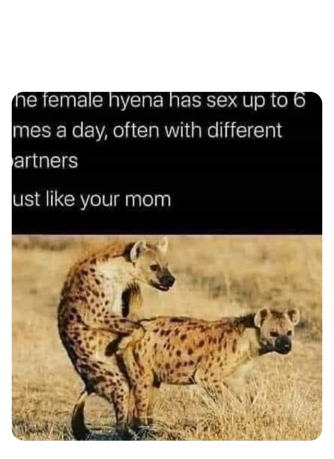 Double tap to edit