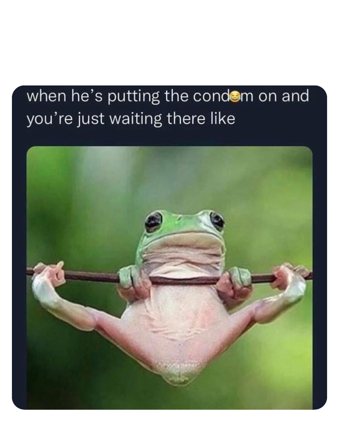 Double tap to edit robinhoodprinceofmemes Memes