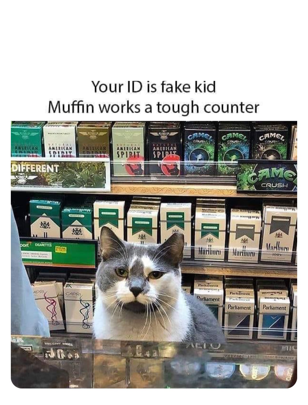 Double Tap To Edit robinhoodprinceofmemes Memes