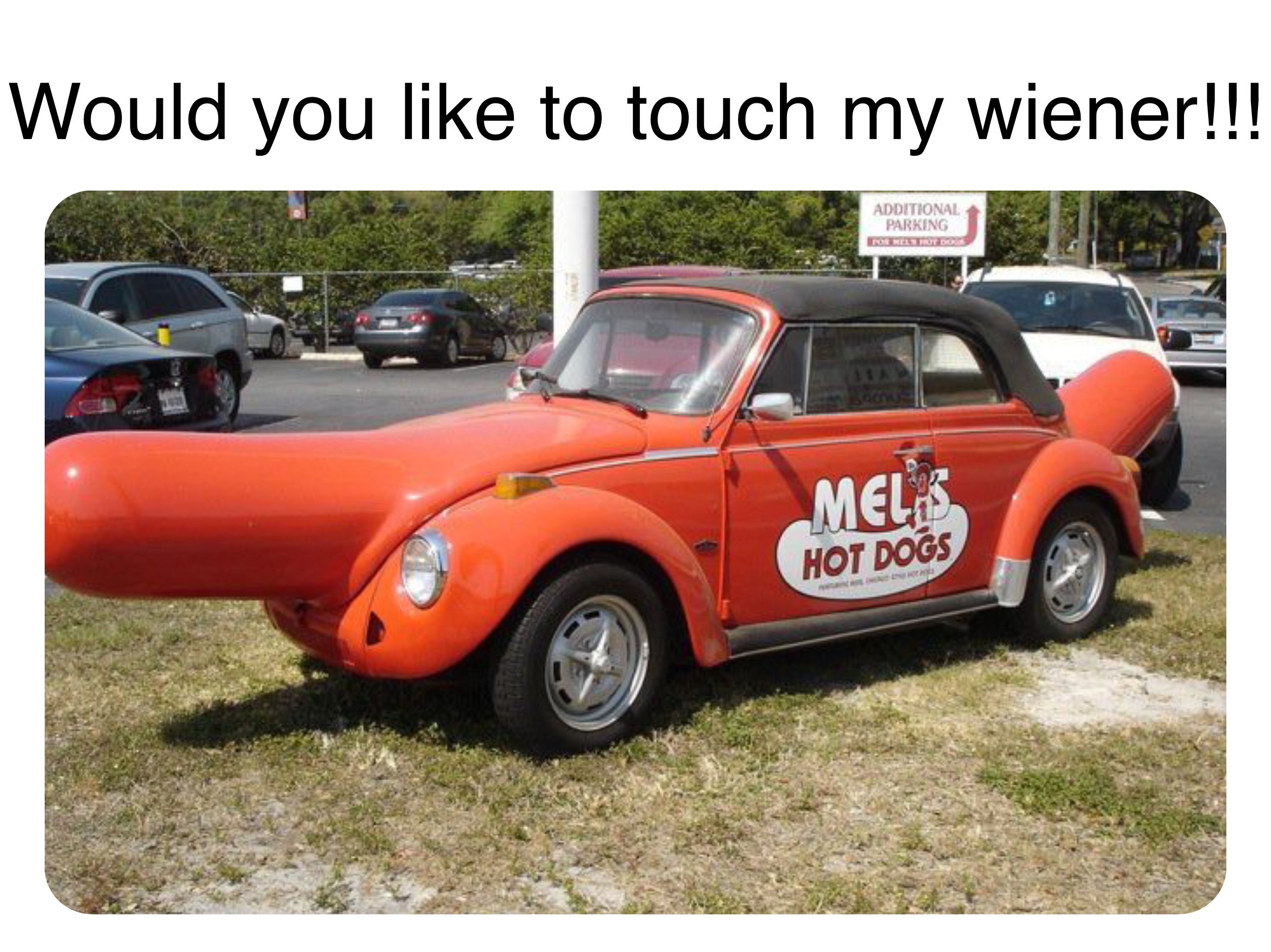 Double tap to edit Would you like to touch my wiener!!!
