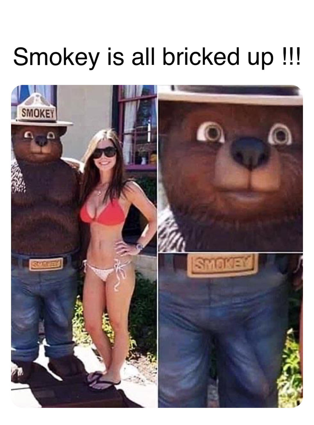 Double tap to edit Smokey is all bricked up !!!