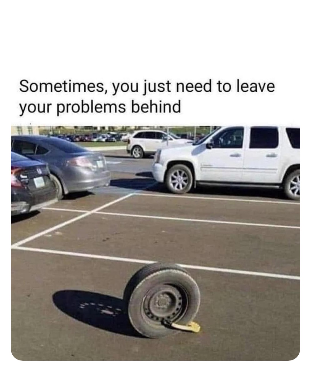 Double tap to edit robinhoodprinceofmemes Memes