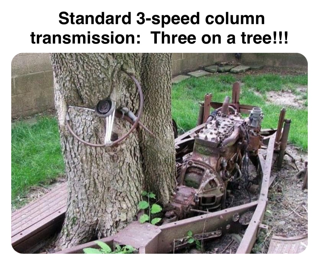 Double tap to edit Standard 3-speed column transmission:  Three on a tree!!!