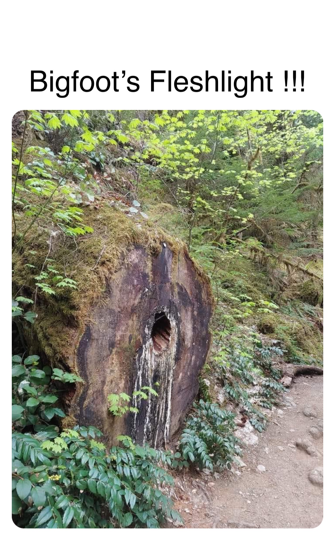 Double tap to edit Bigfoot’s Fleshlight !!!