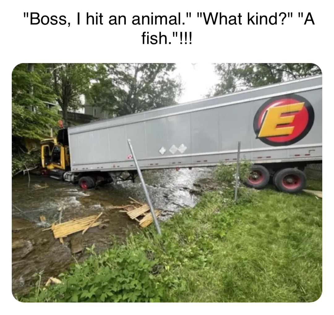 Double tap to edit "Boss, I hit an animal." "What kind?" "A fish."!!!