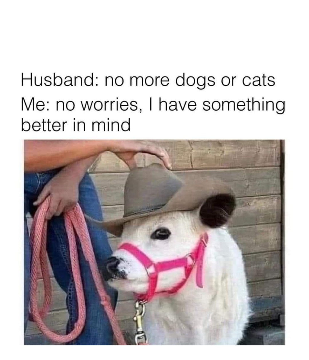 Double tap to edit