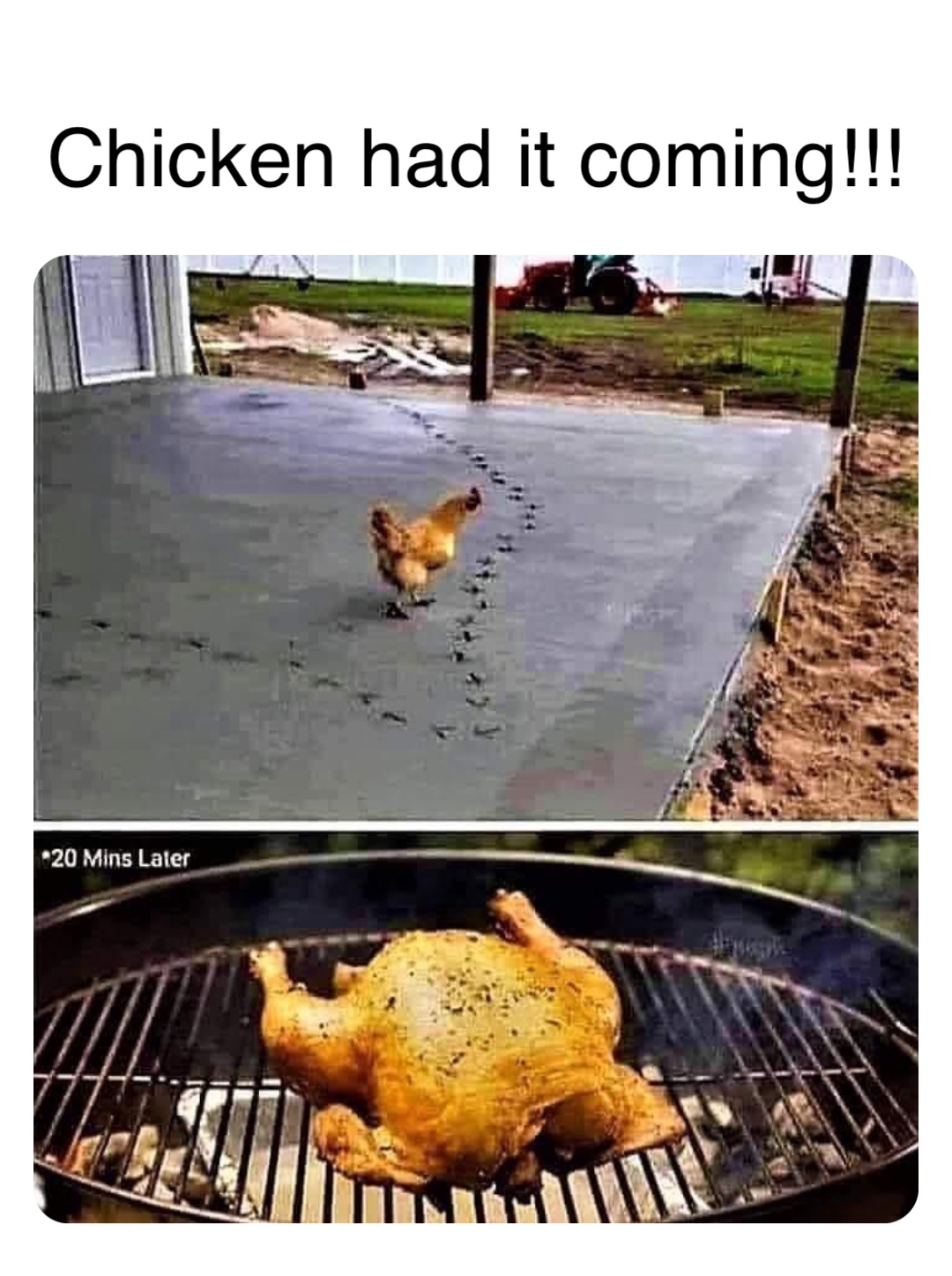 Double tap to edit Chicken had it coming!!!