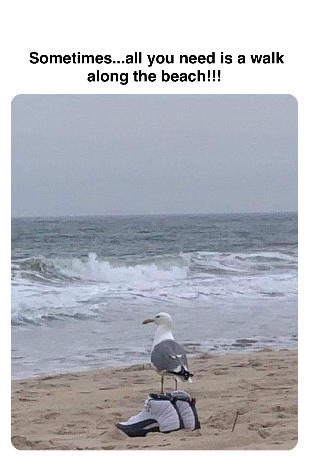 Double tap to edit Sometimes...all you need is a walk along the beach!!!