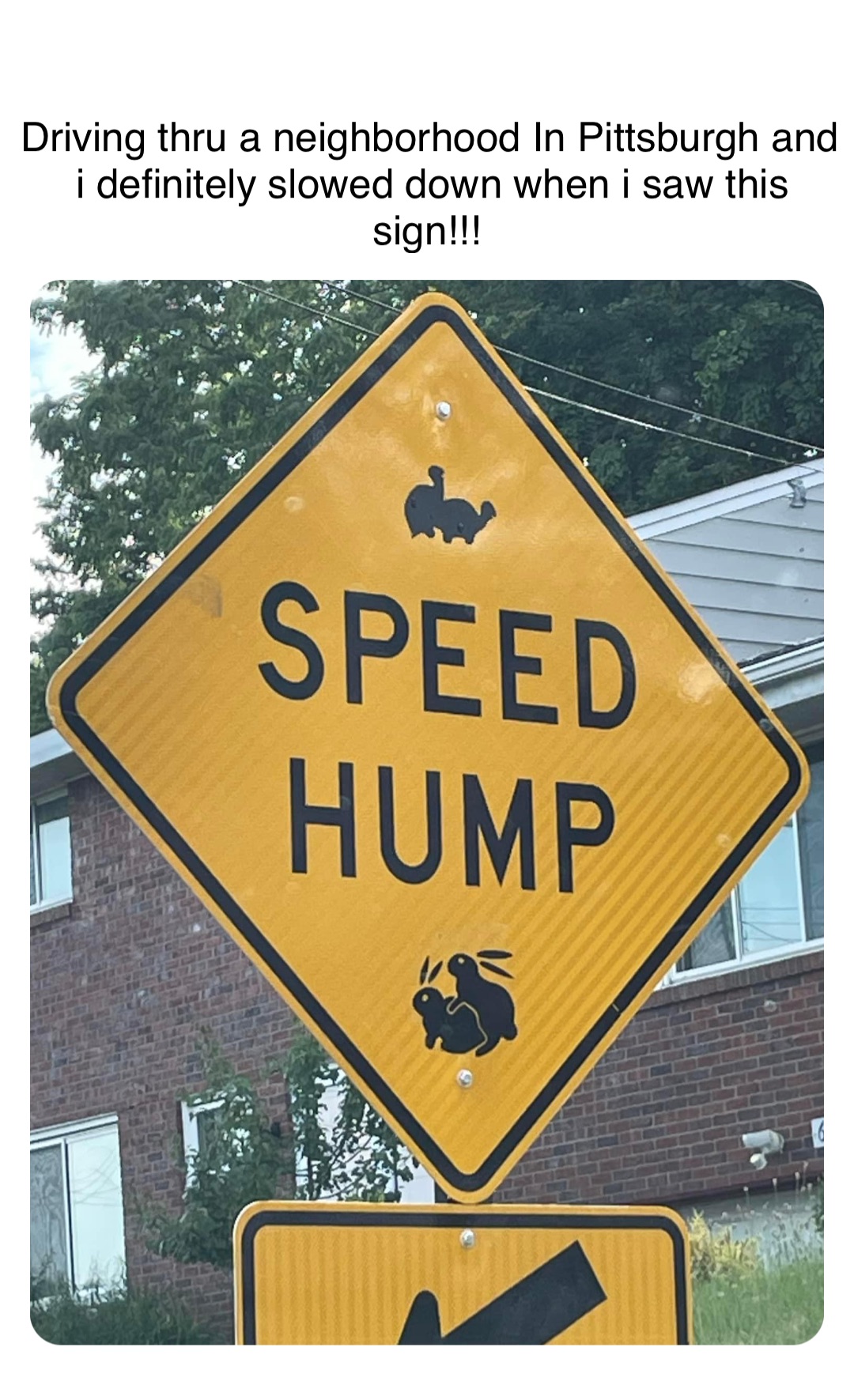 Double tap to edit Driving thru a neighborhood In Pittsburgh and i definitely slowed down when i saw this sign!!!