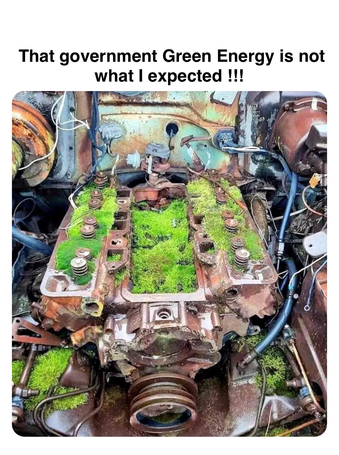 Double tap to edit That government Green Energy is not what I expected !!!