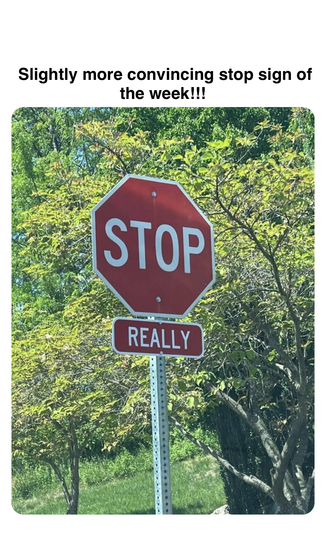 Double tap to edit Slightly more convincing stop sign of the week!!!