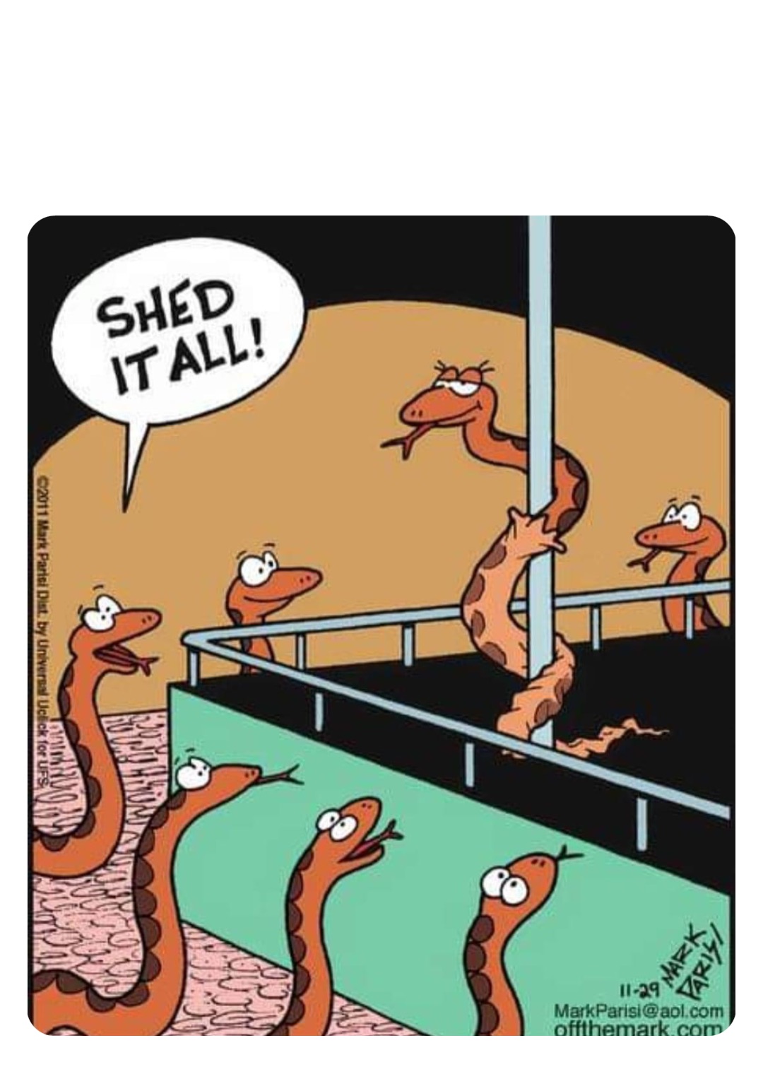 post-by-robinhoodprinceofmemes-memes