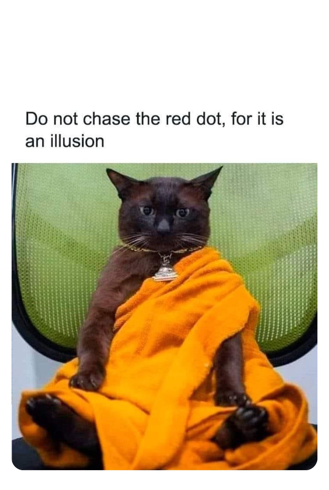 Double Tap To Edit robinhoodprinceofmemes Memes