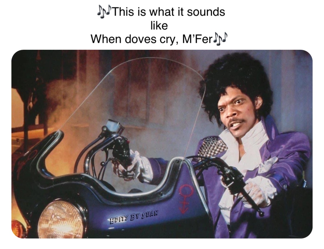 Double tap to edit 🎶This is what it sounds like
When doves cry, M’Fer🎶