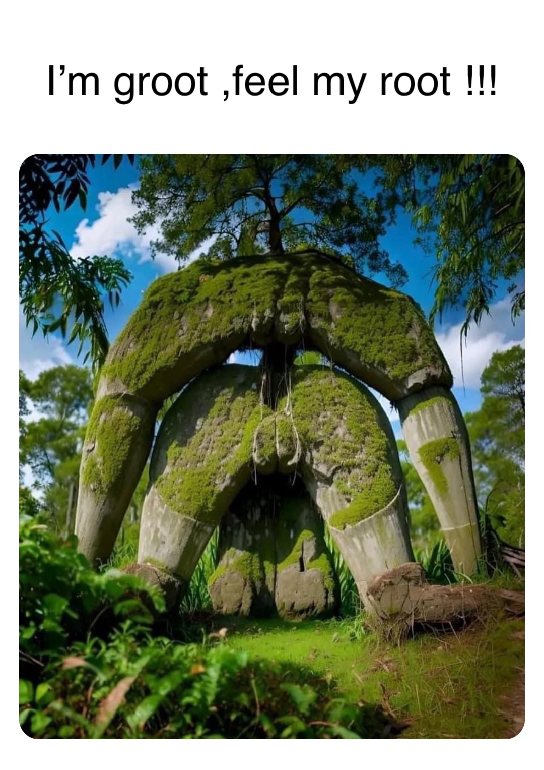 Double tap to edit I’m groot ,feel my root !!!