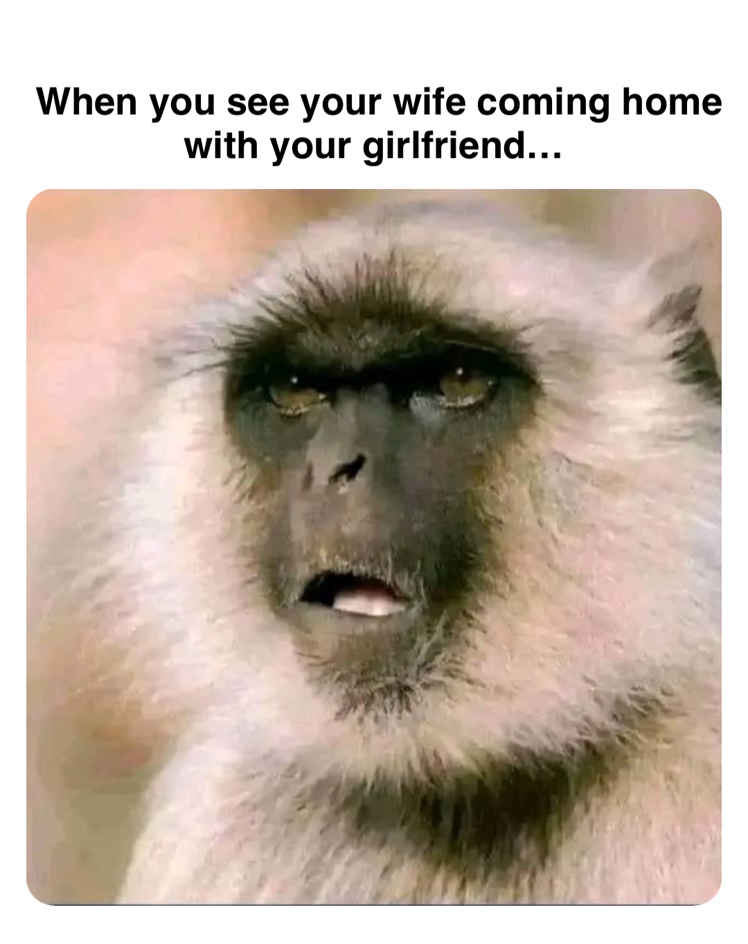 Double tap to edit When you see your wife coming home with your girlfriend…