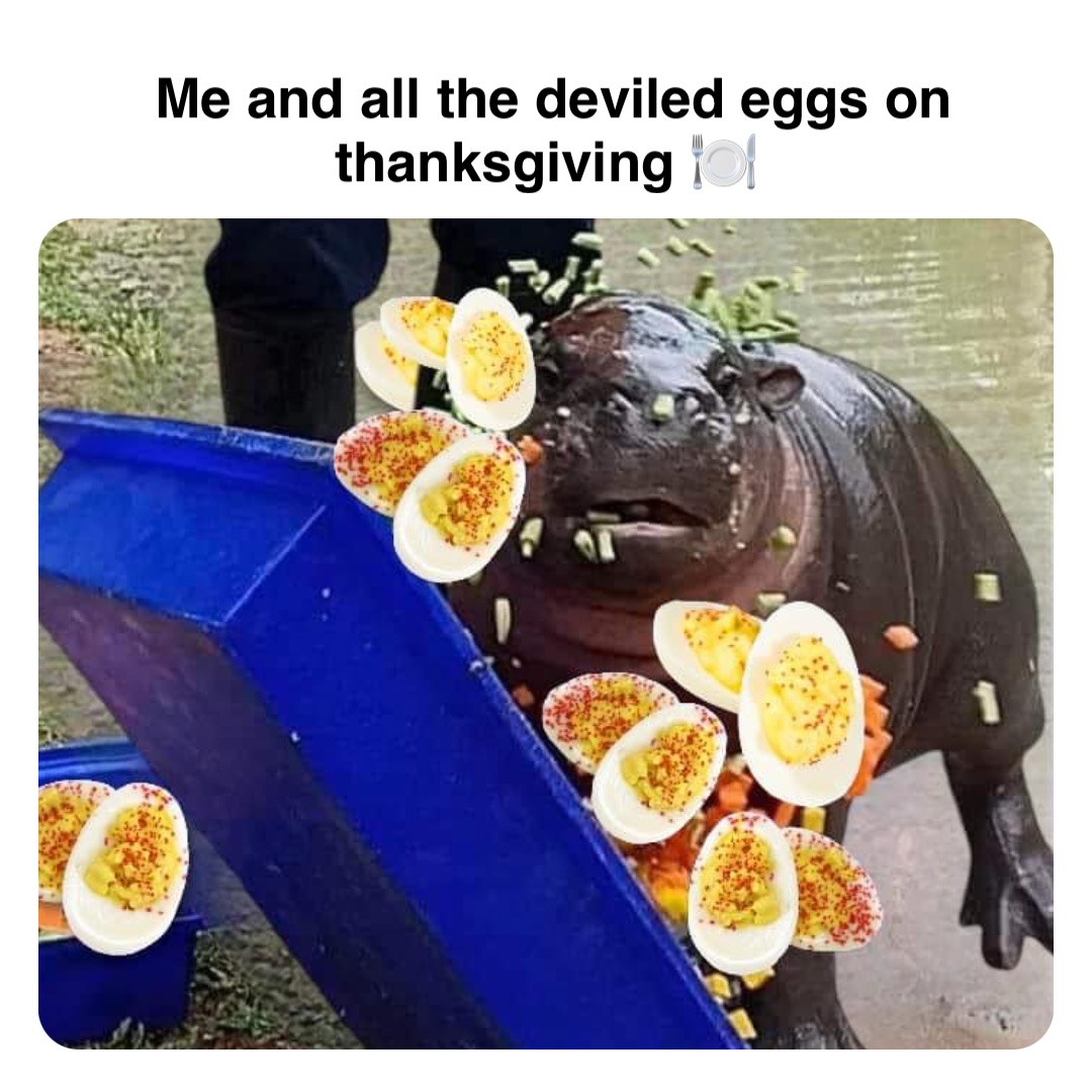 Double tap to edit Me and all the deviled eggs on thanksgiving 🍽️