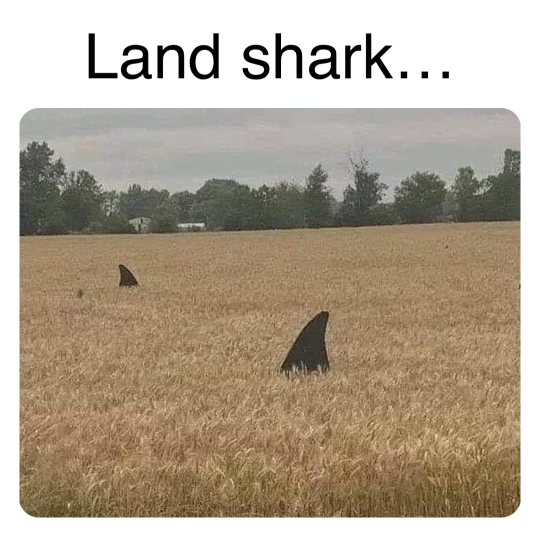 Double tap to edit Land shark…