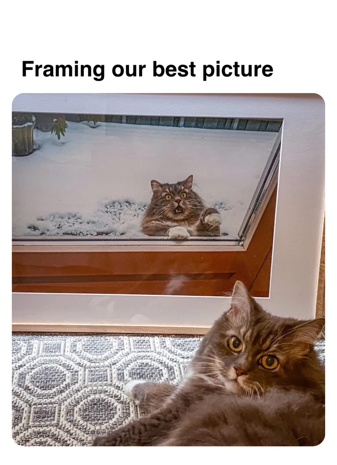 Double tap to edit Framing our best picture