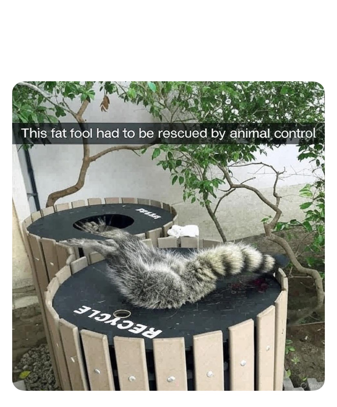 Meme by robinhoodprinceofmemes