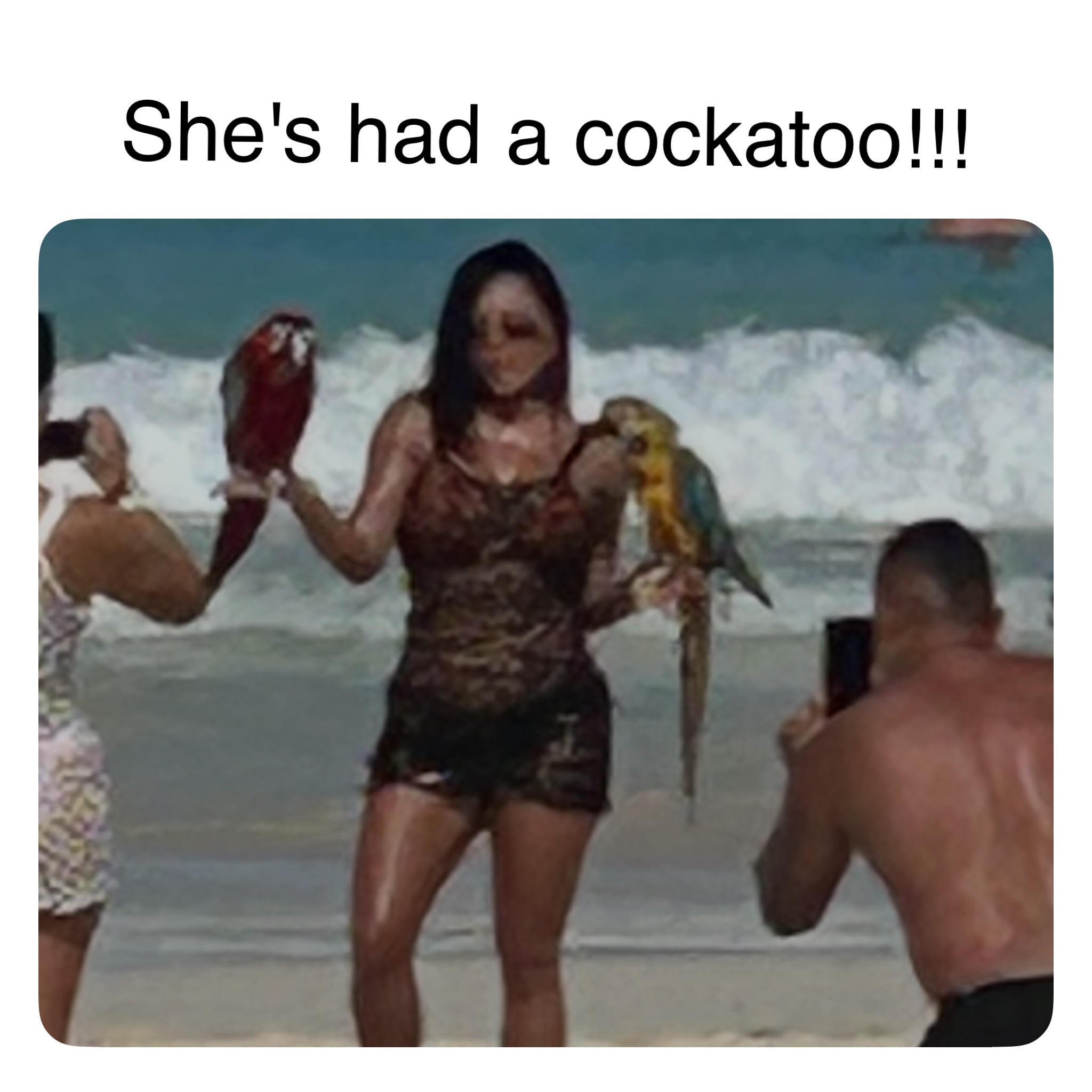 Meme by robinhoodprinceofmemes