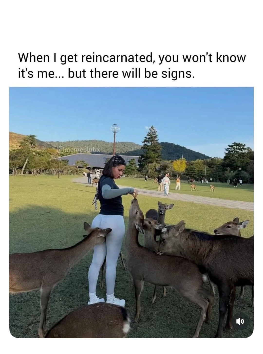 Meme by robinhoodprinceofmemes