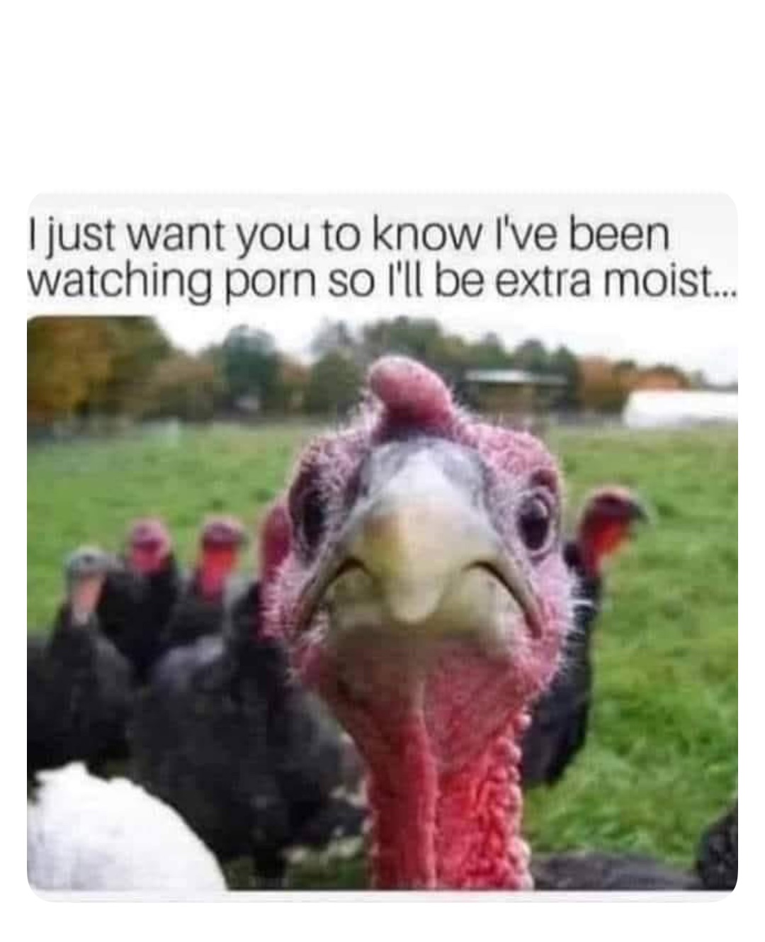 Meme by robinhoodprinceofmemes