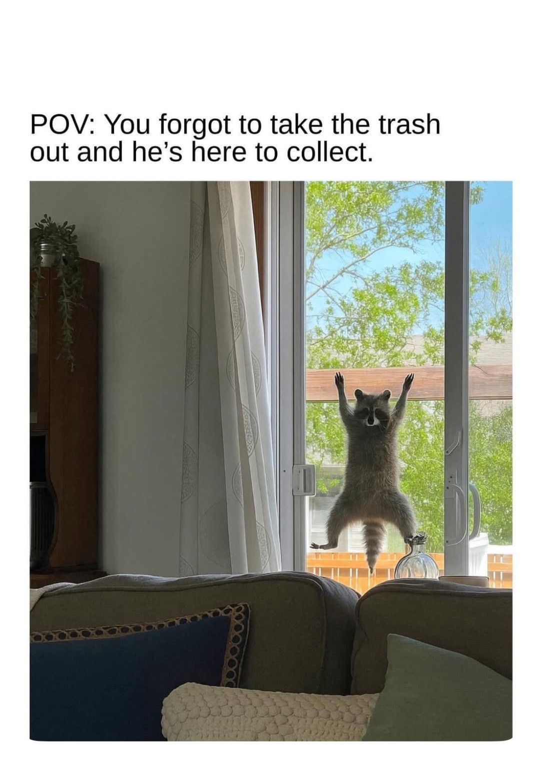 Meme by robinhoodprinceofmemes