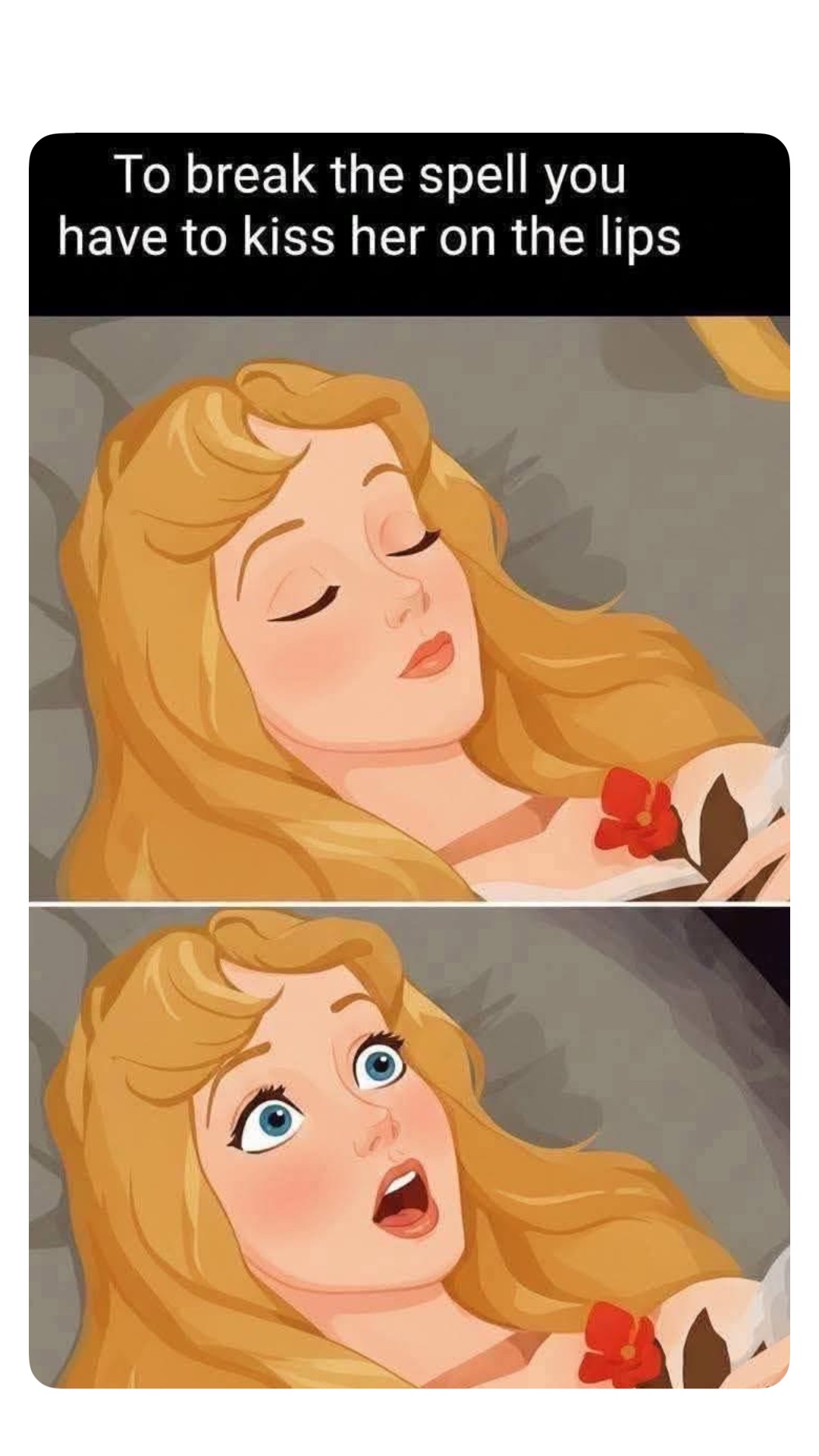 Meme by robinhoodprinceofmemes