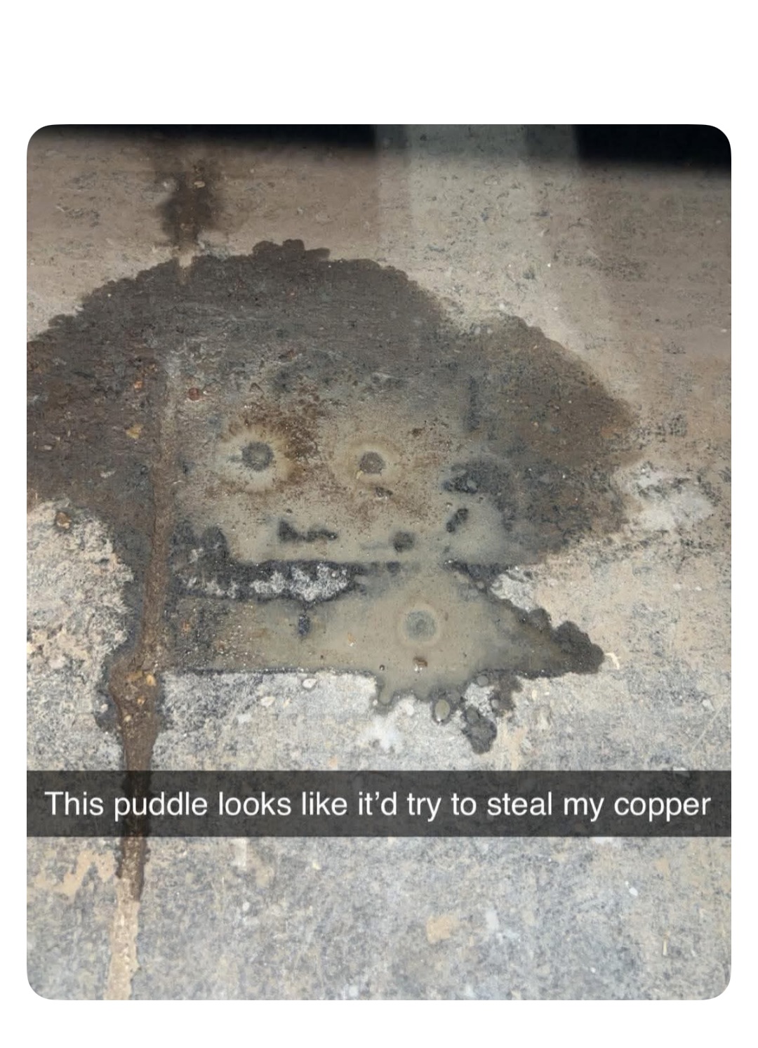 Meme by robinhoodprinceofmemes