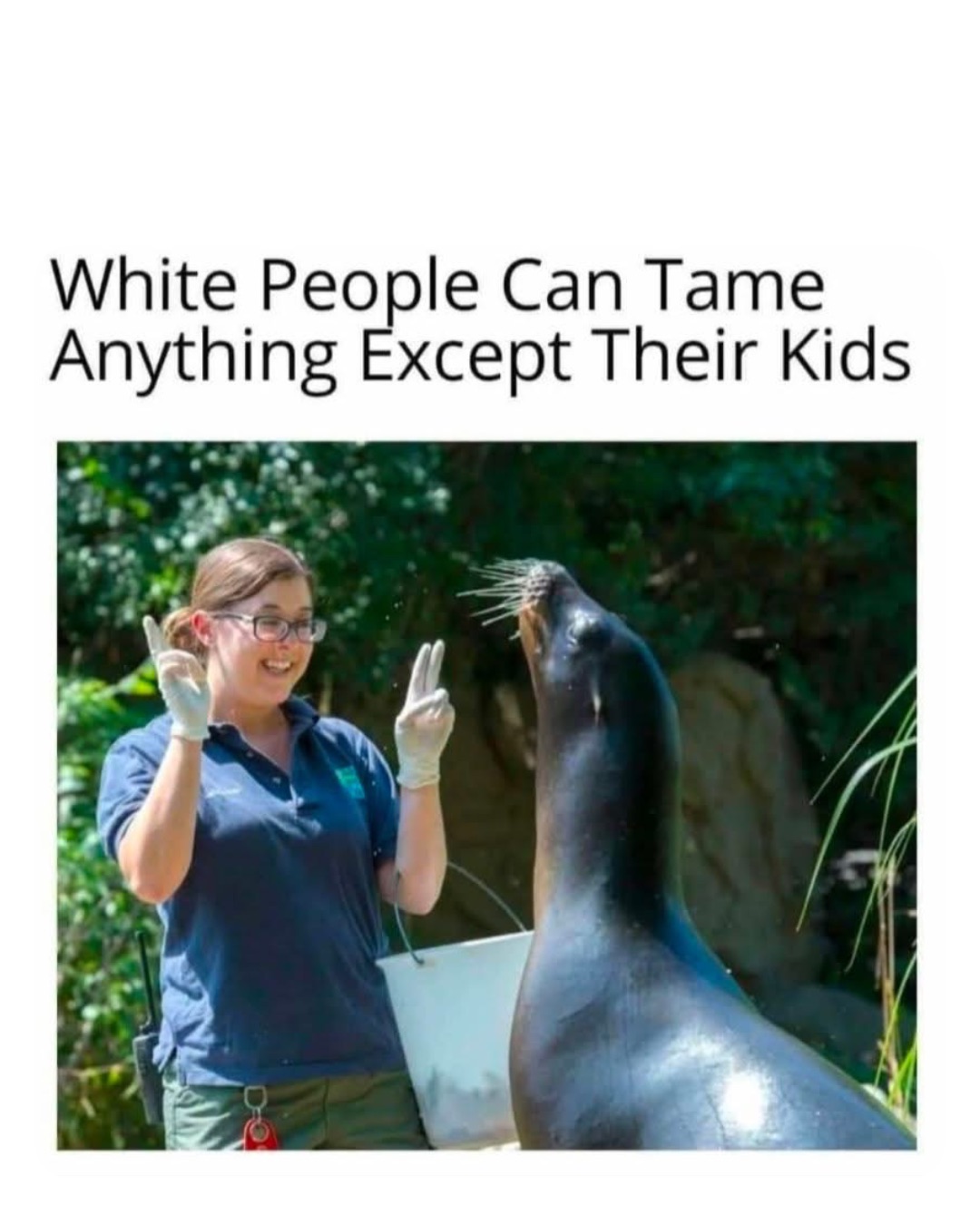 Meme by robinhoodprinceofmemes