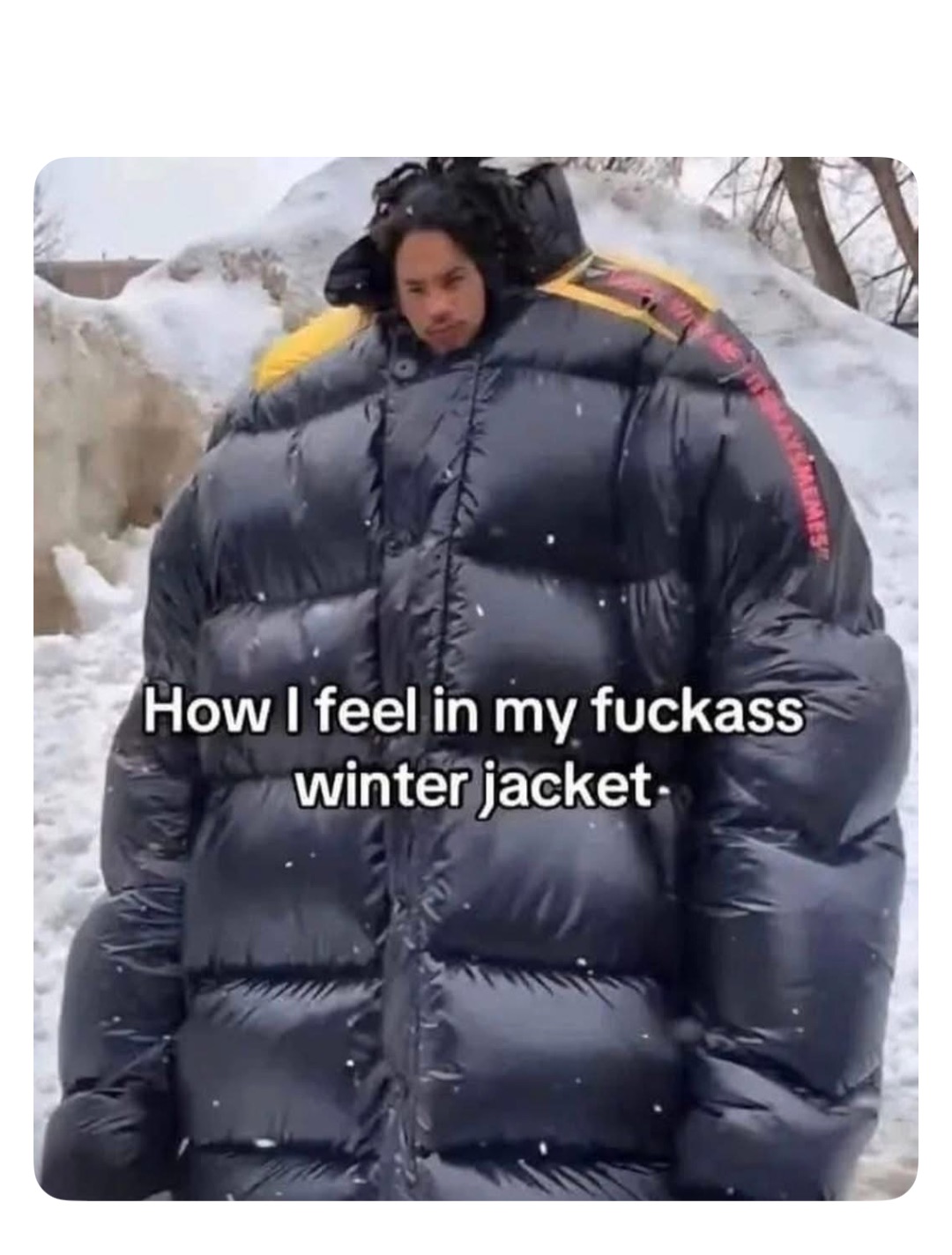 Meme by robinhoodprinceofmemes